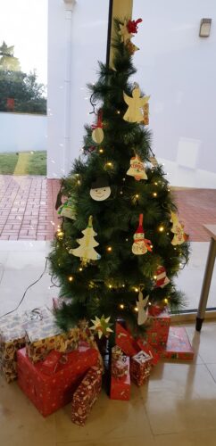Todos os enfeites colocados na árvore de Natal